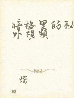 暗格里的秘密番外视频