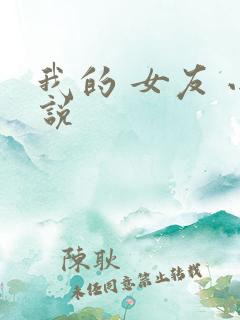 我的 女友 小说