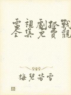 电视剧孤战迷城全集免费观看高清