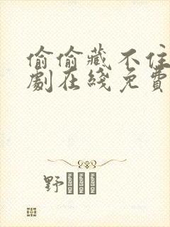 偷偷藏不住电视剧在线免费看