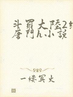 斗罗大陆2绝世唐门h小说