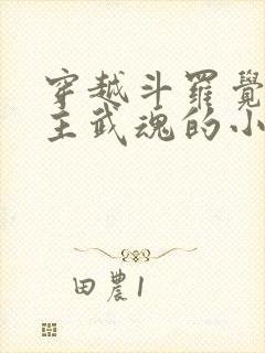 穿越斗罗觉醒圣主武魂的小说