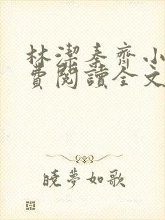 林洁秦齐小说免费阅读全文最新章节