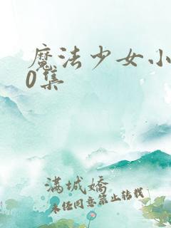 魔法少女小圆10集