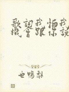 歌词我怕我没有机会跟你说一声再见