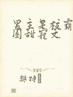 男主是校霸的校园甜宠文