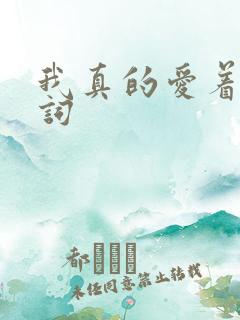 我真的爱着你歌词