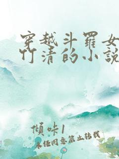 穿越斗罗女主朱竹清的小说