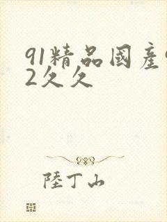 91精品国产92久久