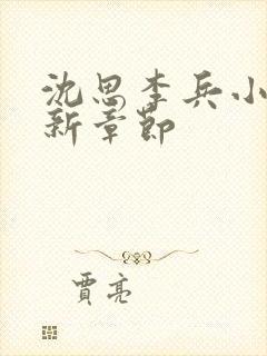 沈思李兵小说最新章节