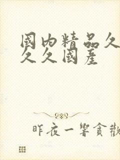 国内精品久久久久久国产