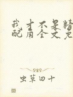 我才不是精灵文配角全文免费阅读