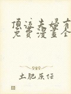 顶流夫妇有点甜免费漫画全集