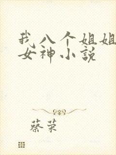 我八个姐姐全是女神小说