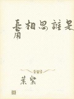 长相思谁是男主角