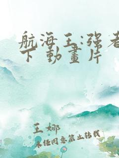 航海王:强者天下 动画片