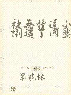 被无情道小师弟倒追了网盘