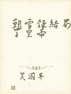 朝雪录结局谁当了皇帝