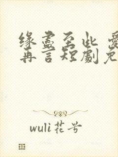 缘尽至此 爱不再言短剧免费观看全集