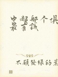 中超哪个俱乐部最有钱