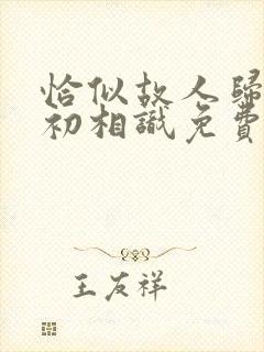 恰似故人归与君初相识免费看