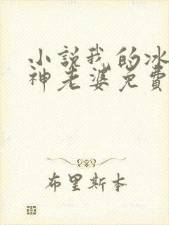 小说我的冰山女神老婆免费阅读