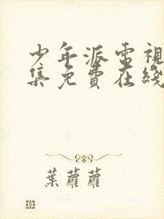 少年派电视剧全集免费在线观看