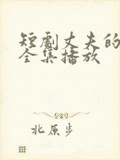 短剧丈夫的复仇全集播放