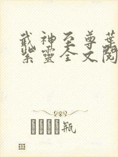 武神至尊叶风叶紫灵全文阅读免费