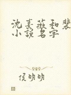 沈熹薇和裴云霄小说名字