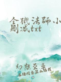 全职法师小说无删减txt