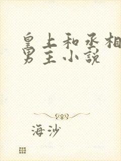 皇上和丞相的双男主小说