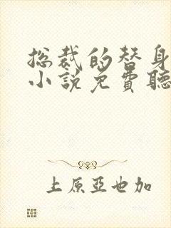 总裁的替身前妻小说免费听书