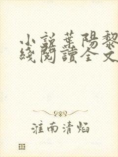 小说叶阳黎洁在线阅读全文