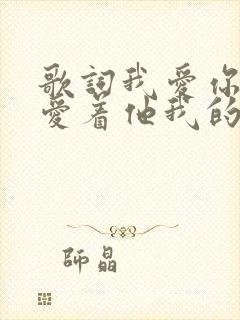 歌词我爱你你却爱着他我的心都碎了