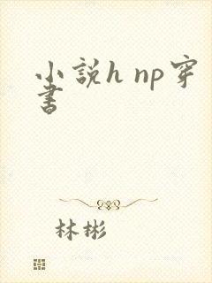 小说h np穿书