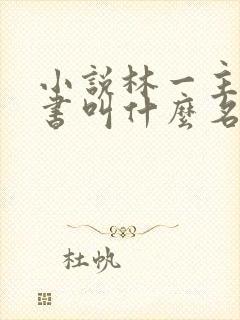 小说林一主角的书叫什么名字