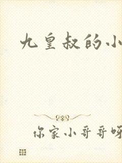 九皇叔的小说