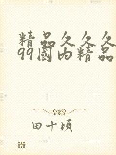 精品久久久久久99国内精品