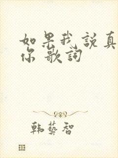 如果我说真的爱你 歌词