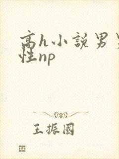 高h小说男男双性np