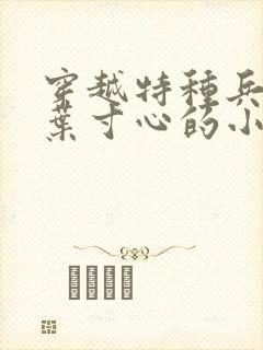 穿越特种兵娶了叶寸心的小说