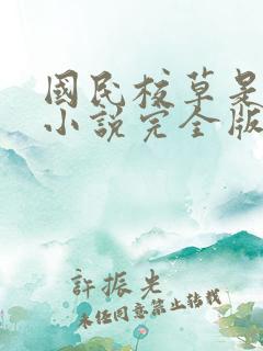 国民校草是女生小说完全版