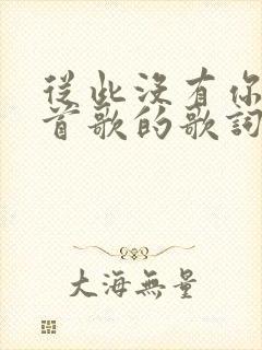 从此没有你是哪首歌的歌词