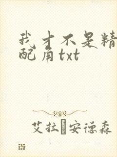 我才不是精灵文配角txt