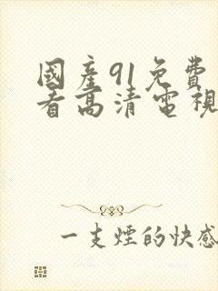 国产91免费观看高清电视剧