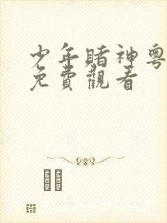 少年赌神粤语版免费观看