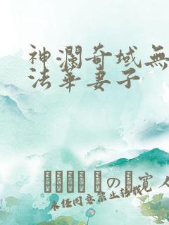 神澜奇域无双珠法华妻子