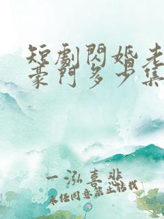短剧闪婚老公是豪门多少集