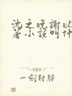 沈之晚谢以安原著小说叫什么